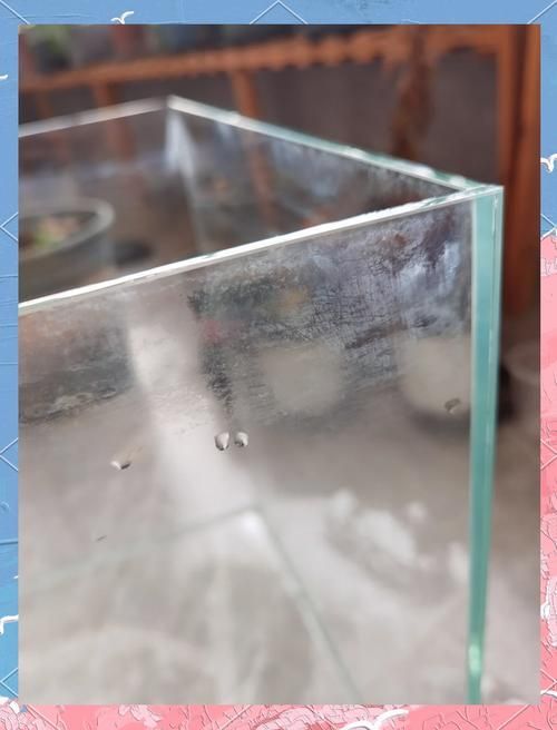 如何測試龍魚缸的密封性？ 如何測試龍魚缸的密封性？ 龍魚百科 第8張