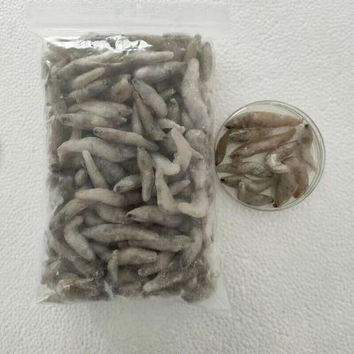 草魚肉喂龍魚有哪些注意事項？，草魚肉喂龍魚的注意事項