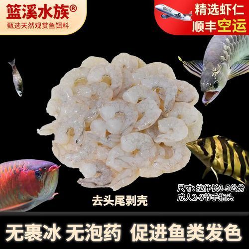 草魚肉喂龍魚有哪些注意事項？，草魚肉喂龍魚的注意事項