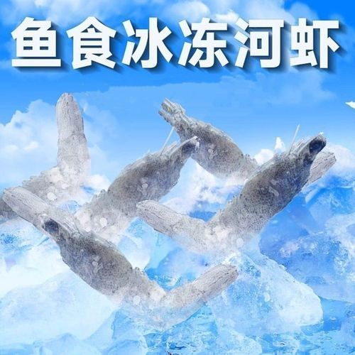 草魚肉喂龍魚有哪些注意事項？，草魚肉喂龍魚的注意事項