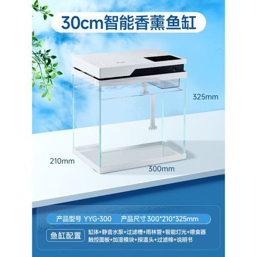 森森和YEE哪個更適合新手？，森森和yee哪個好