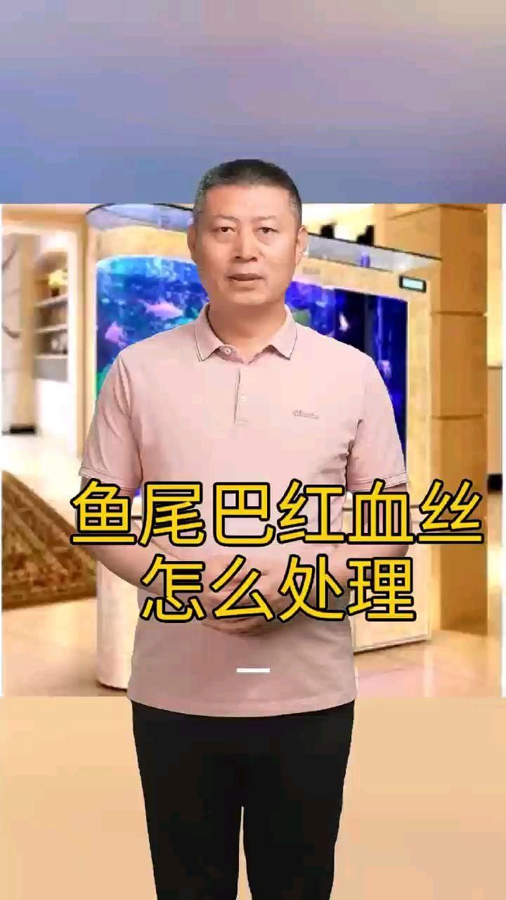 如何預防魚尾巴發紅有紅血絲