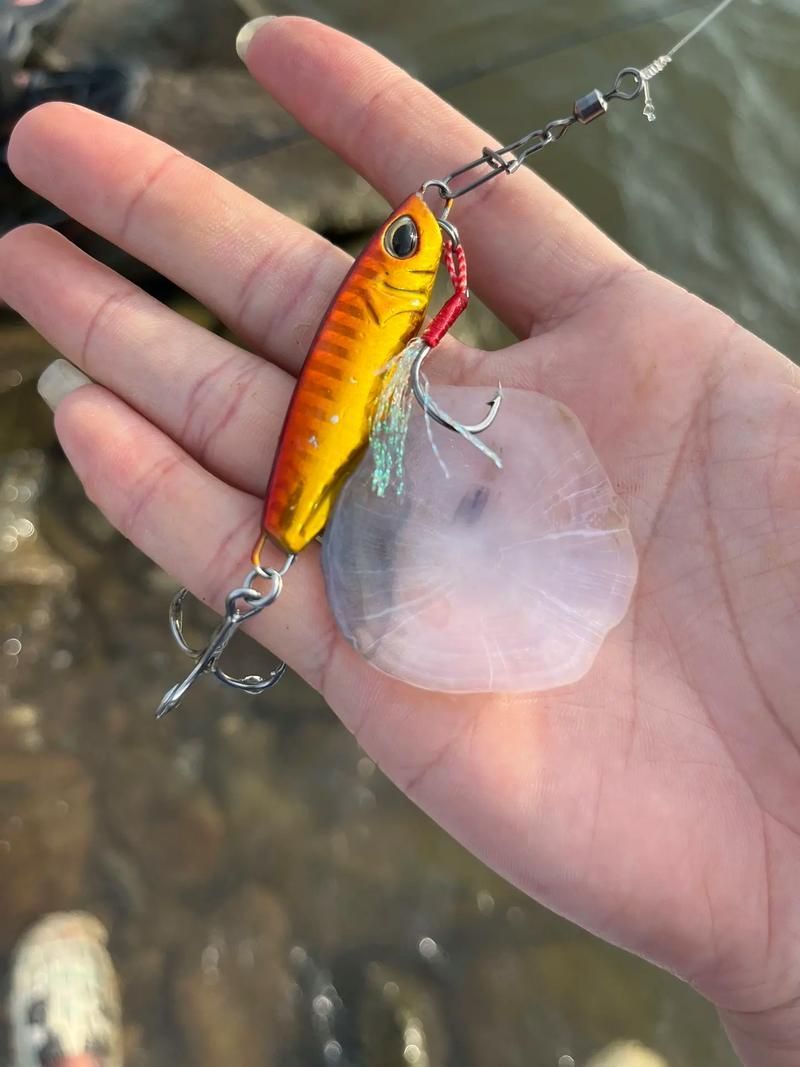 如何鑒別真假三都龍魚?,三都龍魚鑒別真假三都龍魚(福建三都澳地區(qū)、權(quán)威圖文鑒別指南) 龍魚百科 第9張 如何鑒別真假三都龍魚?,三都龍魚鑒別真假三都龍魚(福建三都澳地區(qū)、權(quán)威圖文鑒別指南) 如何鑒別真假三都龍魚?,三都龍魚鑒別真假三都龍魚(福建三都澳地區(qū)、權(quán)威圖文鑒別指南) 龍魚百科 第9張