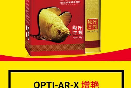 仟湖紅龍魚飼料的價格是多少？，仟湖紅龍魚飼料價格是多少