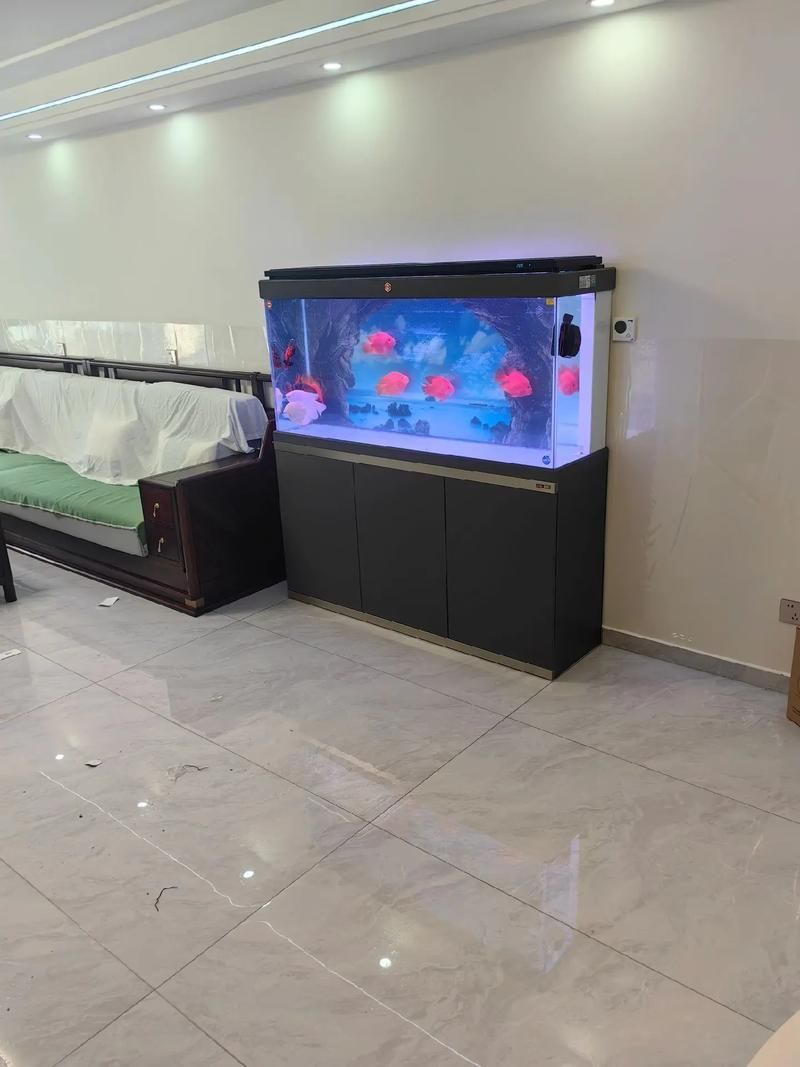 彩鰈和森森哪個更適合龍魚？ 彩鰈和森森哪個更適合龍魚？ 龍魚百科 第11張