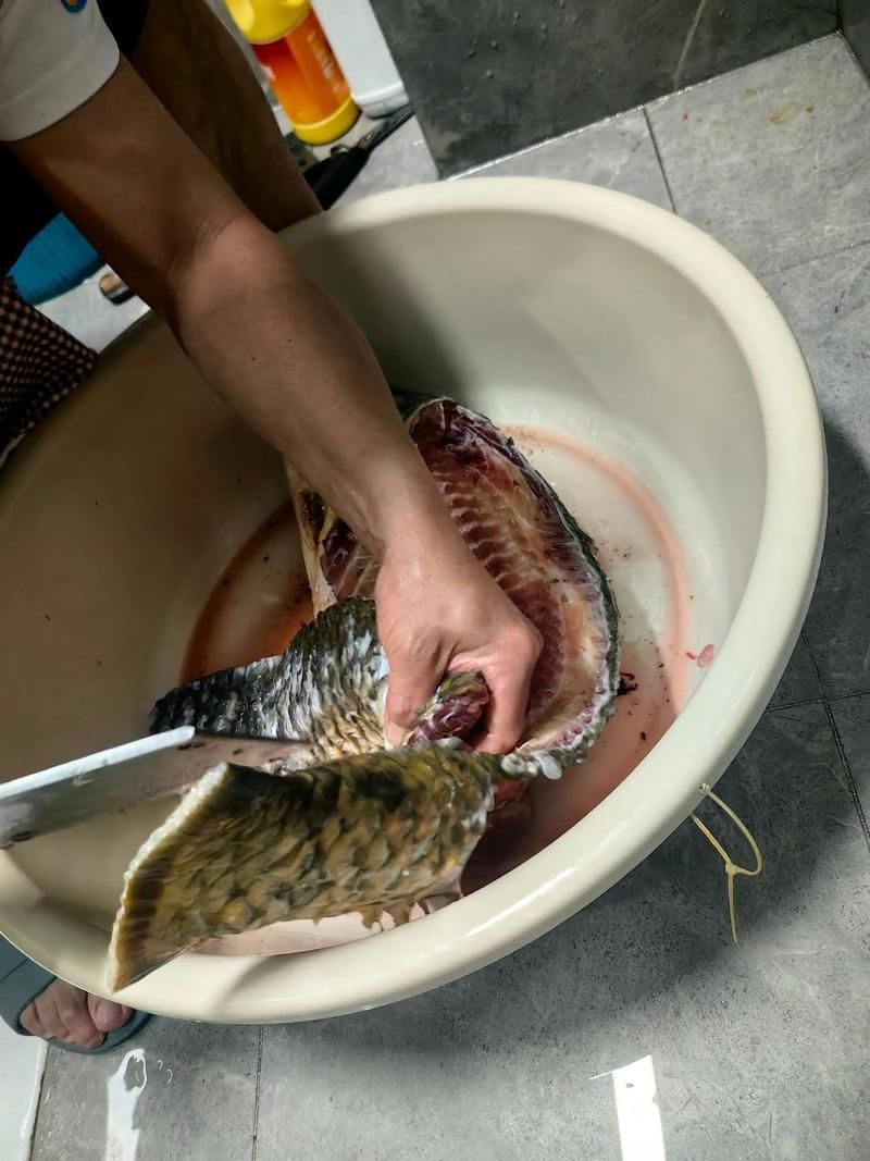 龍魚浮頭后如何恢復喂食 龍魚百科 第5張 龍魚浮頭后如何恢復喂食 龍魚浮頭后如何恢復喂食 龍魚百科 第5張