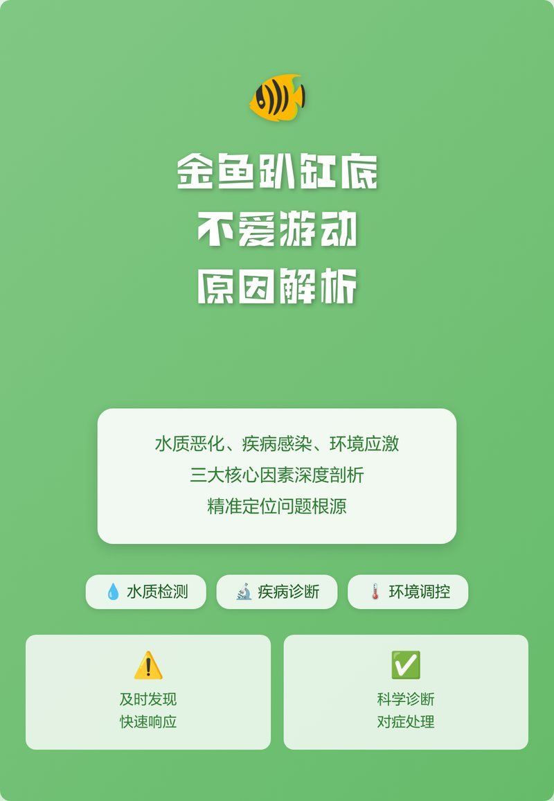 金魚趴缸底了,不活躍了，嚕嚕養寵物，金魚趴缸底需要多久恢復 金魚趴缸底了,不活躍了，嚕嚕養寵物，金魚趴缸底需要多久恢復 龍魚百科 第2張