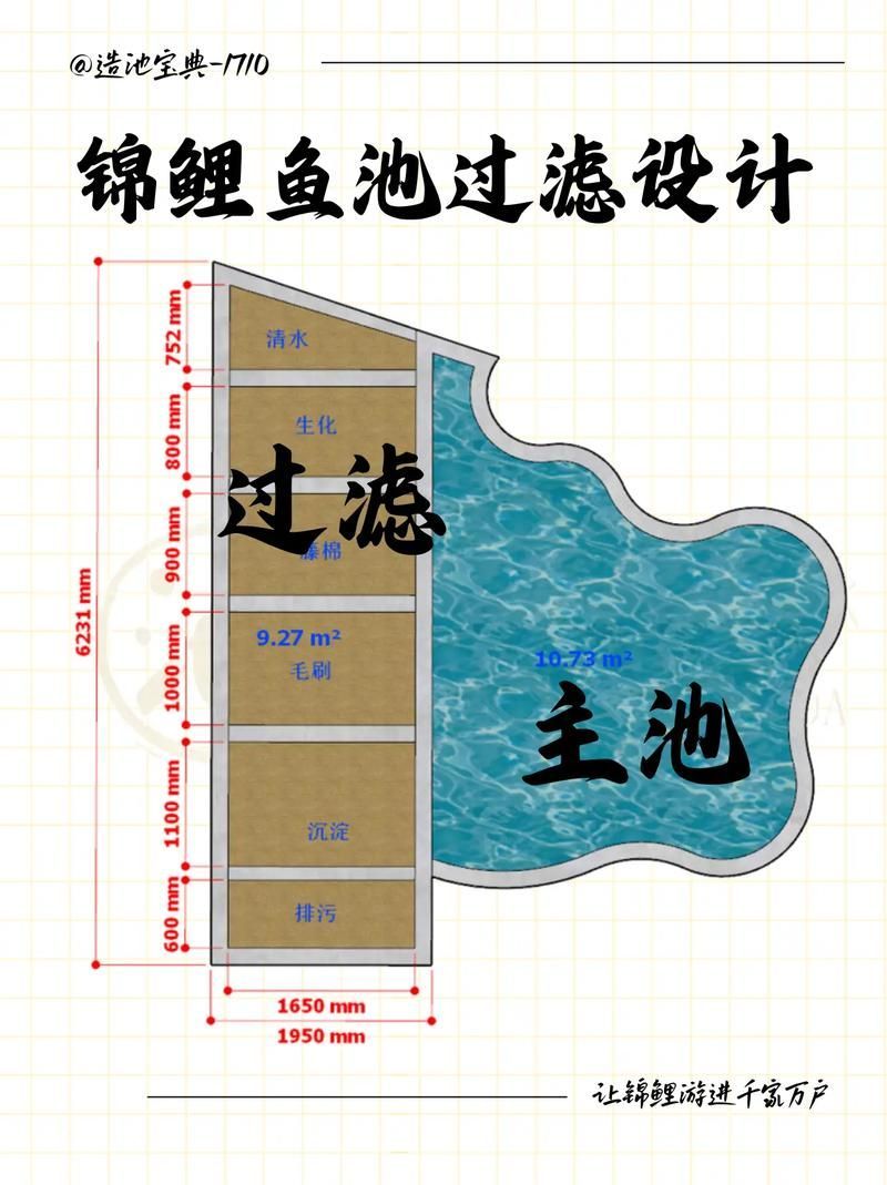 如何預(yù)防金龍魚得病?,如何預(yù)防金龍魚得病 龍魚百科 第12張 如何預(yù)防金龍魚得病?,如何預(yù)防金龍魚得病 如何預(yù)防金龍魚得病?,如何預(yù)防金龍魚得病 龍魚百科 第12張