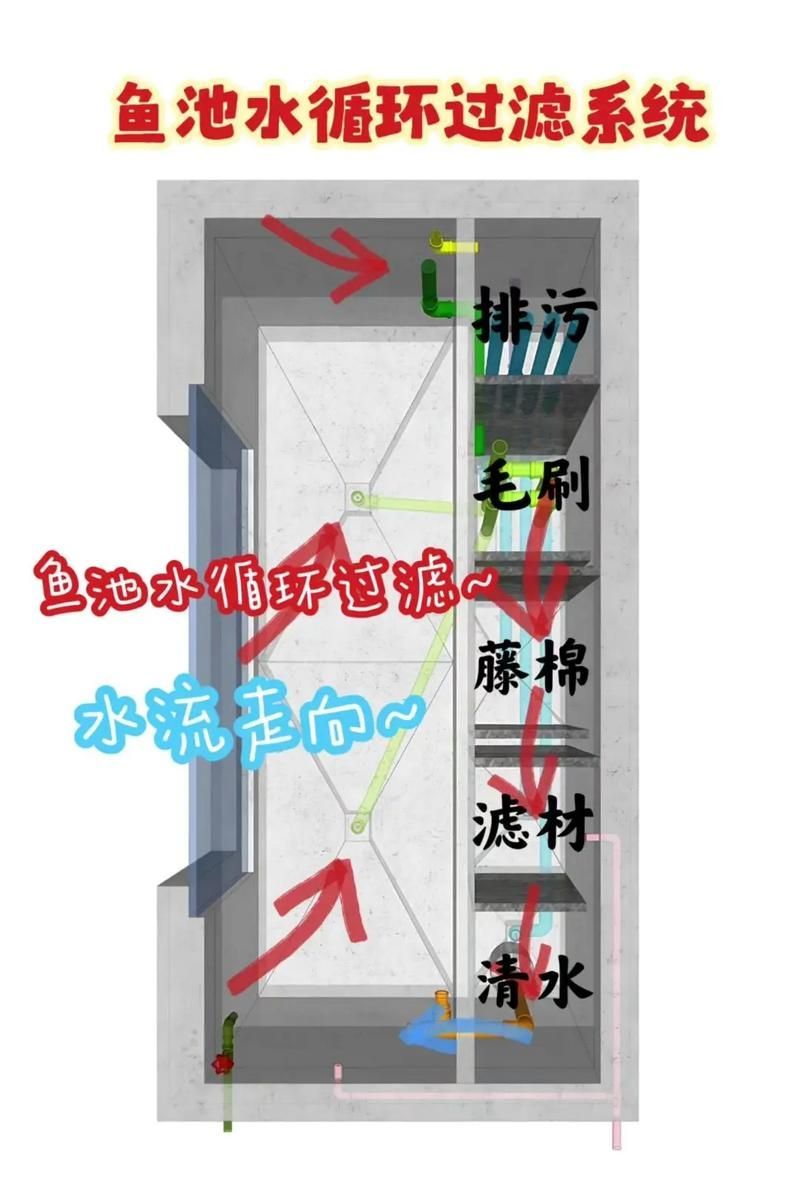 如何預(yù)防金龍魚得病?,如何預(yù)防金龍魚得病 龍魚百科 第11張 如何預(yù)防金龍魚得病?,如何預(yù)防金龍魚得病 如何預(yù)防金龍魚得病?,如何預(yù)防金龍魚得病 龍魚百科 第11張