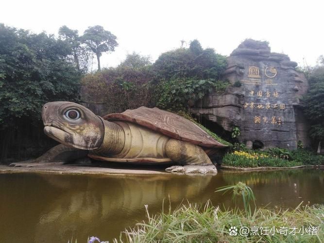 湖光巖景區(qū)是否有官方龍魚目擊報(bào)告，湖光巖景區(qū)是否有官方龍魚目擊報(bào)告的真實(shí)存在 湖光巖景區(qū)是否有官方龍魚目擊報(bào)告，湖光巖景區(qū)是否有官方龍魚目擊報(bào)告的真實(shí)存在 龍魚百科 第3張