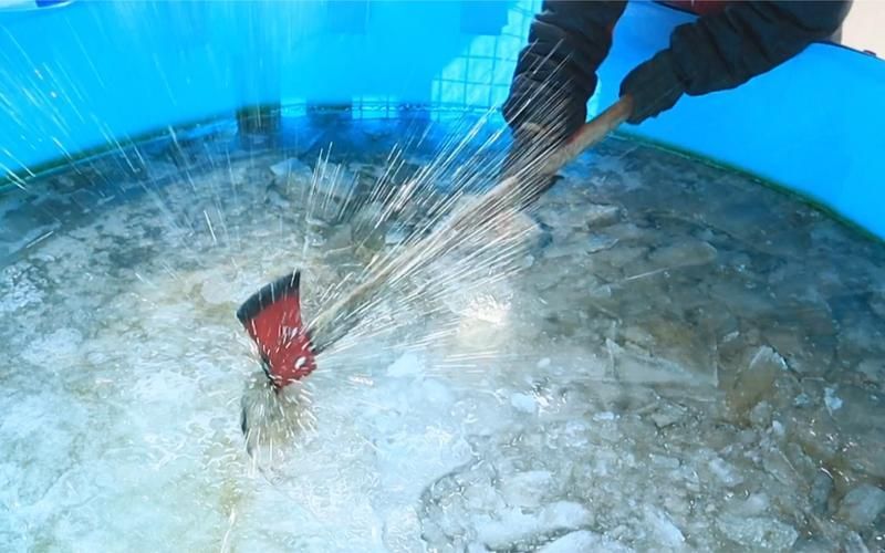 西安地區冬季魚病防控有哪些案例，西安地區冬季魚病防控技術（如水霉病防控技術分析）