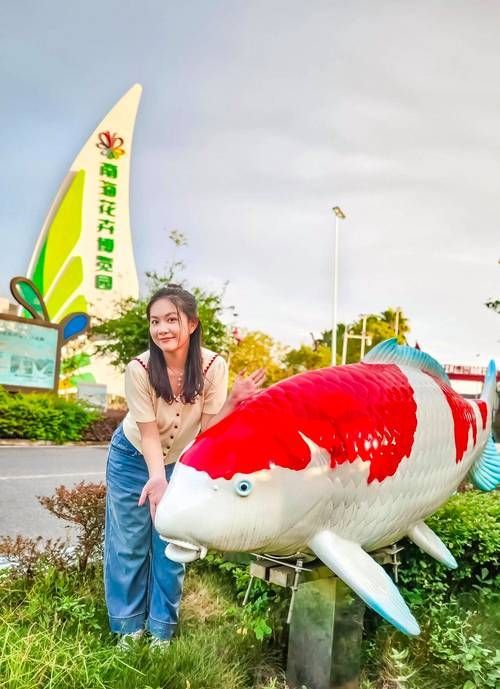 給我推薦幾家口碑好的龍魚批發市場,廣州龍魚批發市場 龍魚百科 第4張 給我推薦幾家口碑好的龍魚批發市場,廣州龍魚批發市場 給我推薦幾家口碑好的龍魚批發市場,廣州龍魚批發市場 龍魚百科 第4張