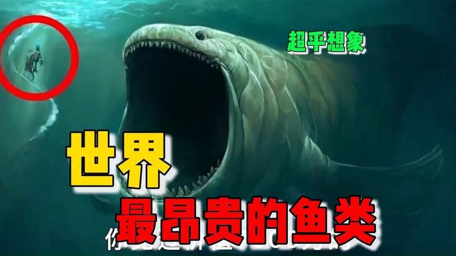 能否提供更多世界上最貴的食用魚圖片，世界上最貴的食用魚 能否提供更多世界上最貴的食用魚圖片，世界上最貴的食用魚 龍魚百科 第9張