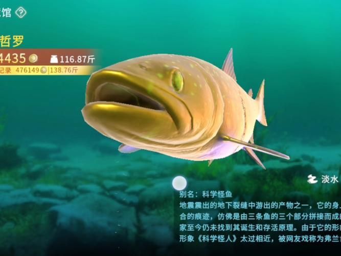能否提供更多世界上最貴的食用魚圖片，世界上最貴的食用魚 能否提供更多世界上最貴的食用魚圖片，世界上最貴的食用魚 龍魚百科 第3張