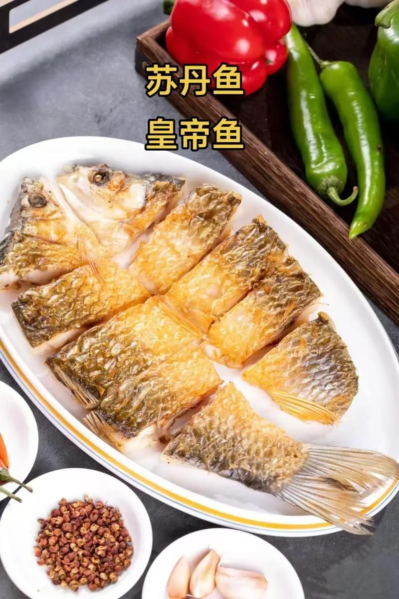 能否提供更多世界上最貴的食用魚圖片，世界上最貴的食用魚 能否提供更多世界上最貴的食用魚圖片，世界上最貴的食用魚 龍魚百科 第2張