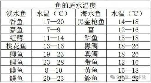 有沒有更詳細的金龍魚飼養視頻教程？，金龍魚飼養教程