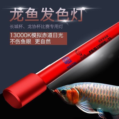 馬印龍魚烤色燈有哪些型號推薦，馬印龍魚烤色燈怎么樣？