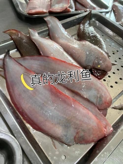 如何辨別真假龍利魚圖片對(duì)比，如何辨別真假龍利魚
