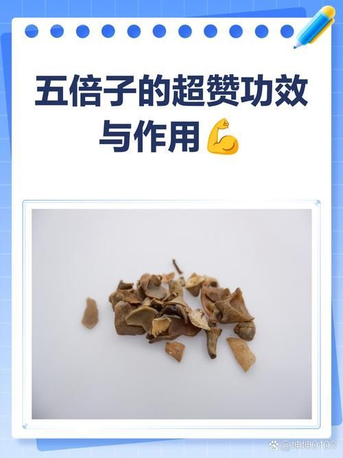 有哪些天然方法可以預防魚真菌感染