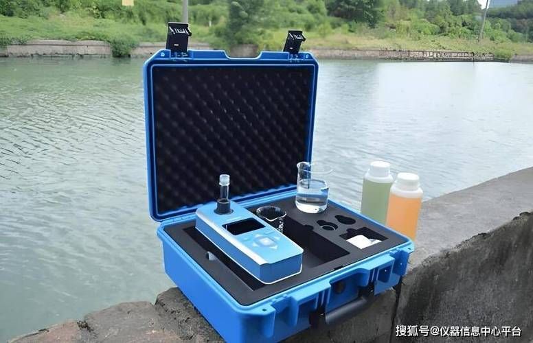 銀龍魚的飼養(yǎng)技巧有哪些？，銀龍魚的飼養(yǎng)技巧