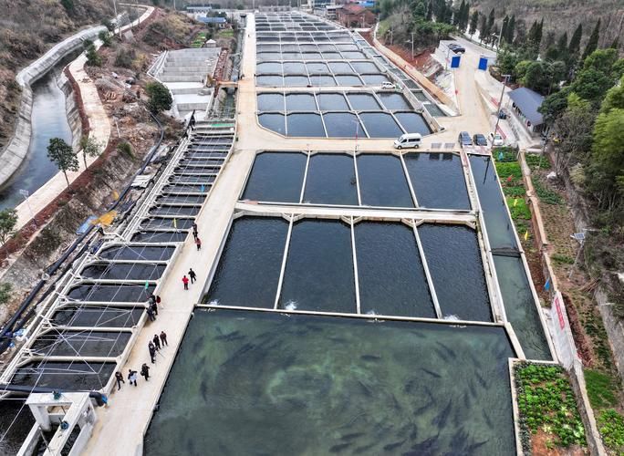哪些地區可以合法購買到人工養殖的鱘龍魚？，哪些地區可以合法養殖鱘龍魚？