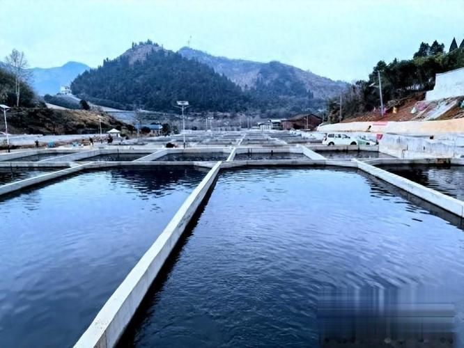 哪些地區可以合法購買到人工養殖的鱘龍魚？，哪些地區可以合法養殖鱘龍魚？
