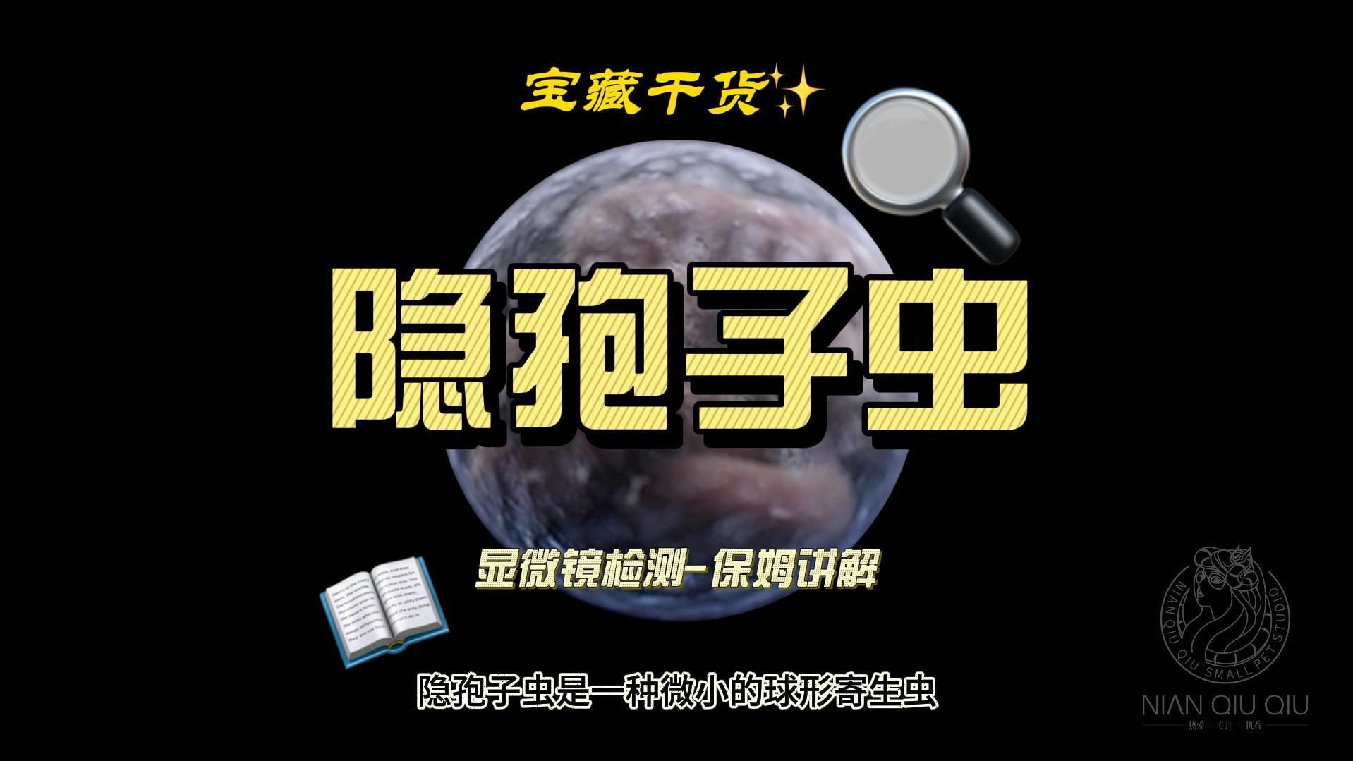 如何區分面包蟲殘骸和真正寄生蟲，面包蟲殘骸和寄生蟲的區分主要基于形態學特征、生活史和寄生方式