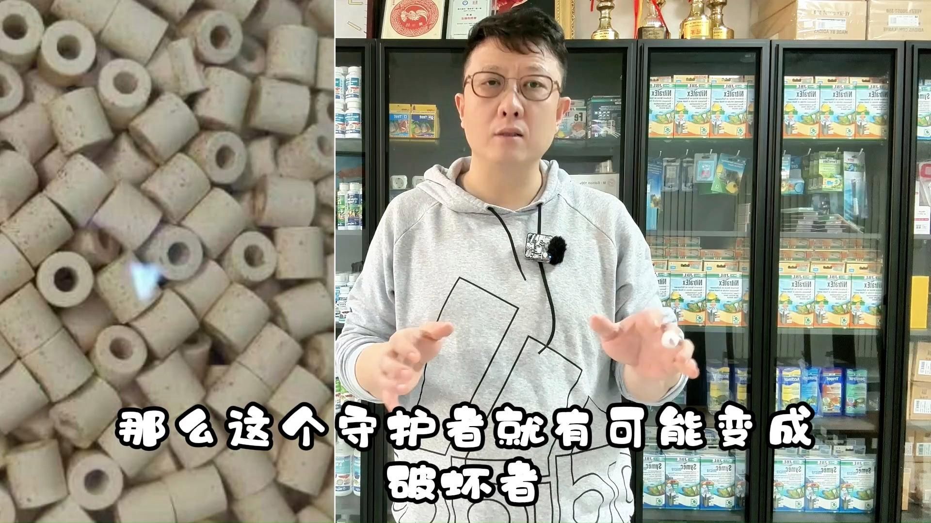 養龍魚需要準備哪些濾材？