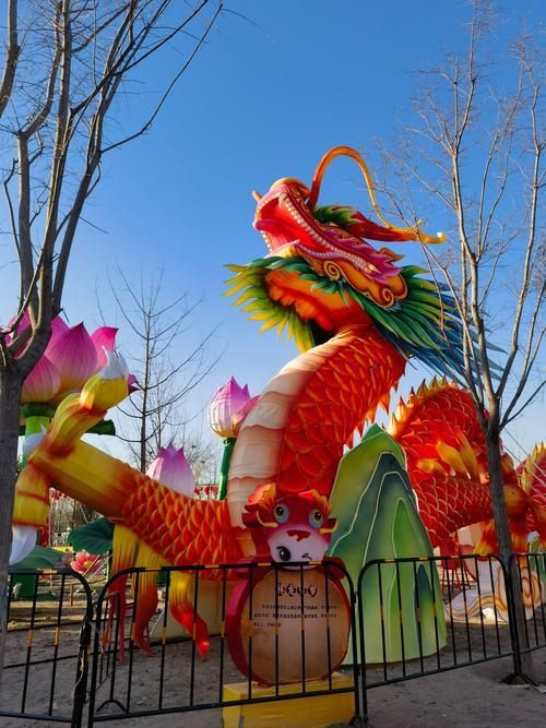 北京龍魚燈照有哪些特色活動(dòng)，北京龍魚燈照有哪些特色活動(dòng)思考完成全網(wǎng)30篇資料