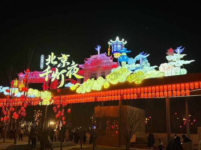 北京龍魚燈照有哪些特色活動(dòng)，北京龍魚燈照有哪些特色活動(dòng)思考完成全網(wǎng)30篇資料