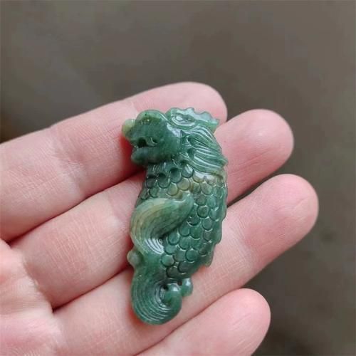 獨山龍魚和普通紅龍魚哪個更珍貴，獨山龍魚和普通紅龍魚哪個更珍貴，