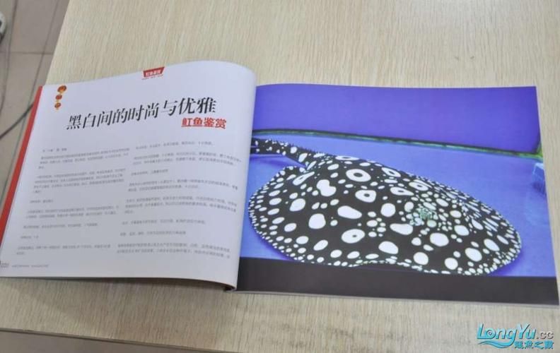 龍魚專刊最新一期2024年在哪里可以觀看?,“龍魚專刊”2024年最新一期2024年在哪里可以觀看 龍魚百科 第4張 龍魚專刊最新一期2024年在哪里可以觀看?,“龍魚專刊”2024年最新一期2024年在哪里可以觀看 龍魚專刊最新一期2024年在哪里可以觀看?,“龍魚專刊”2024年最新一期2024年在哪里可以觀看 龍魚百科 第4張