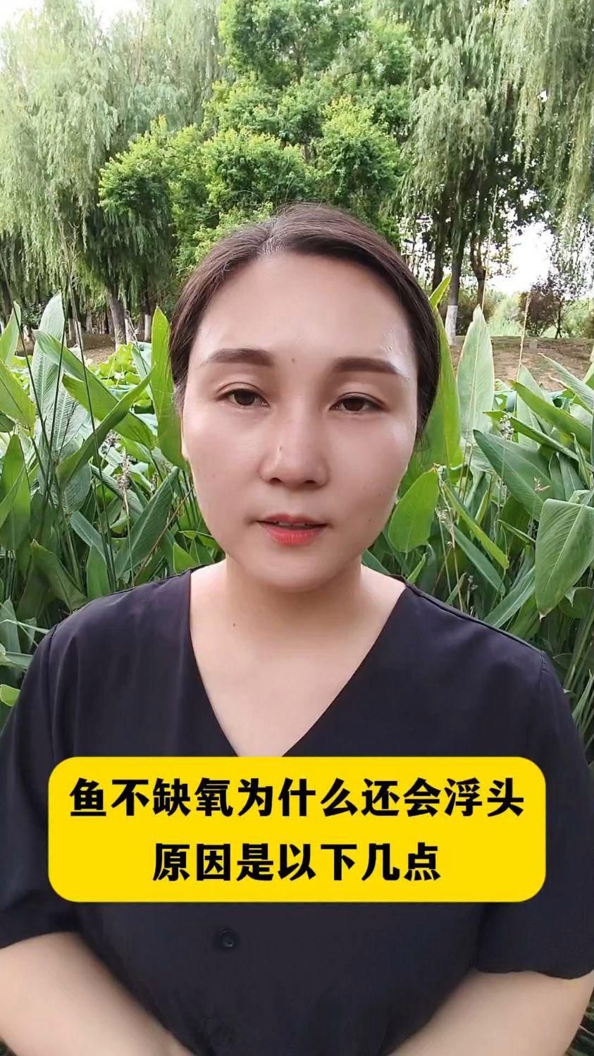 龍魚浮頭會(huì)自己恢復(fù)嗎，龍魚浮頭會(huì)自己恢復(fù)嗎，龍魚浮頭會(huì)自己恢復(fù)多久 龍魚浮頭會(huì)自己恢復(fù)嗎，龍魚浮頭會(huì)自己恢復(fù)嗎，龍魚浮頭會(huì)自己恢復(fù)多久 龍魚百科