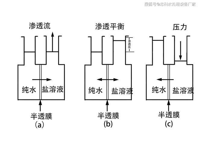 如何判斷魟魚是否需要換水？，如何判斷魟魚是否需要換水 如何判斷魟魚是否需要換水？，如何判斷魟魚是否需要換水 龍魚百科 第13張