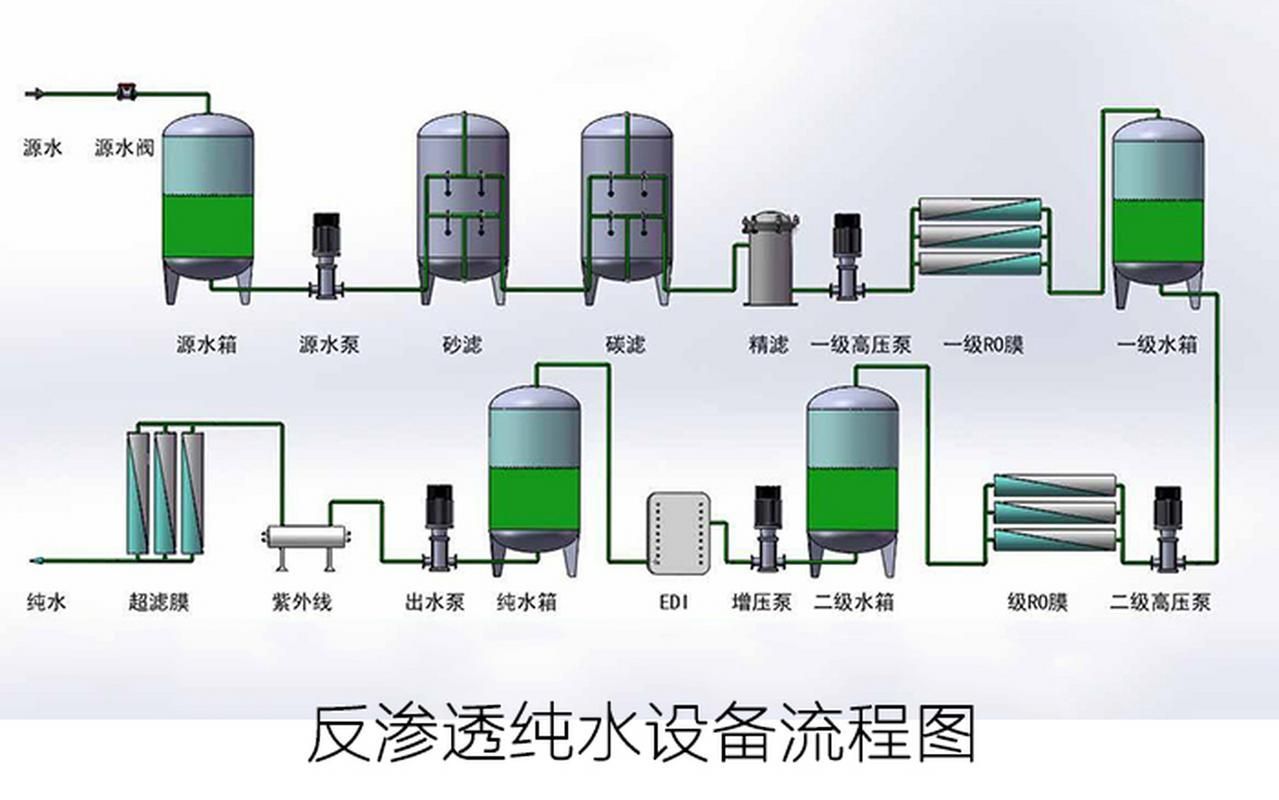如何判斷魟魚是否需要換水？，如何判斷魟魚是否需要換水 如何判斷魟魚是否需要換水？，如何判斷魟魚是否需要換水 龍魚百科 第12張