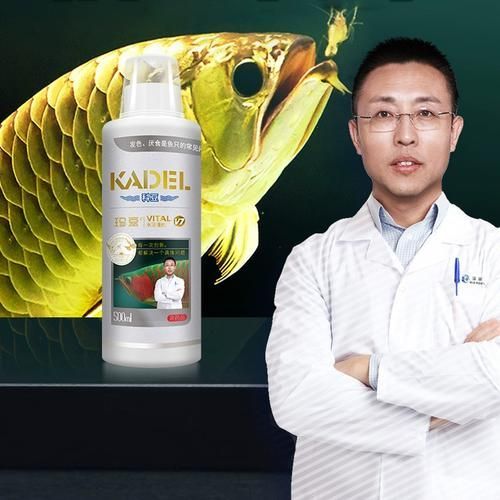 有哪些藥物可以預(yù)防龍魚趴缸？，觀賞魚藥物預(yù)防龍魚趴缸的預(yù)防藥物類別及使用方案