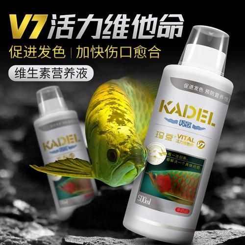 有哪些藥物可以預(yù)防龍魚趴缸？，觀賞魚藥物預(yù)防龍魚趴缸的預(yù)防藥物類別及使用方案