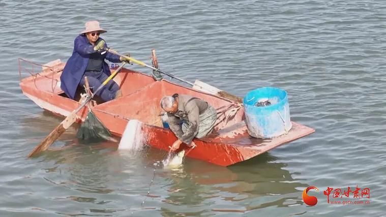 玉門龍魚養殖有哪些成功案例？ 玉門龍魚養殖有哪些成功案例？ 龍魚百科 第3張
