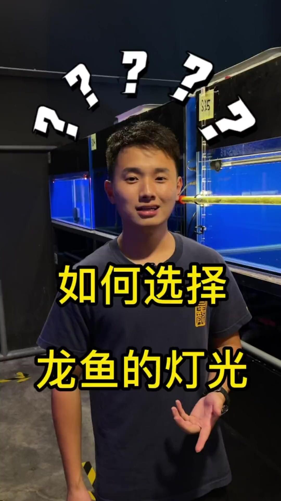 給我推薦一些適合龍魚的燈光類型，適合龍魚的燈光類型 給我推薦一些適合龍魚的燈光類型，適合龍魚的燈光類型 龍魚百科 第13張