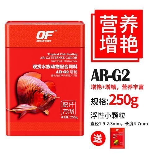 如何飼養和照顧龍魚,關于龍魚飼養的基礎知識 龍魚百科 第17張 如何飼養和照顧龍魚,關于龍魚飼養的基礎知識 如何飼養和照顧龍魚,關于龍魚飼養的基礎知識 龍魚百科 第17張