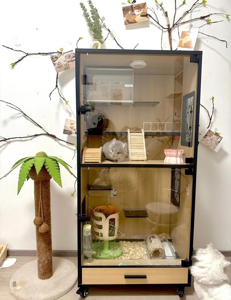 有哪些品牌的龍貓籠推薦，有哪些品牌的龍貓籠值得推薦