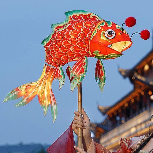 西寧龍魚文化協會的主要活動有哪些?,關于西寧龍魚文化協會 龍魚百科 第1張 西寧龍魚文化協會的主要活動有哪些?,關于西寧龍魚文化協會 西寧龍魚文化協會的主要活動有哪些?,關于西寧龍魚文化協會 龍魚百科 第1張