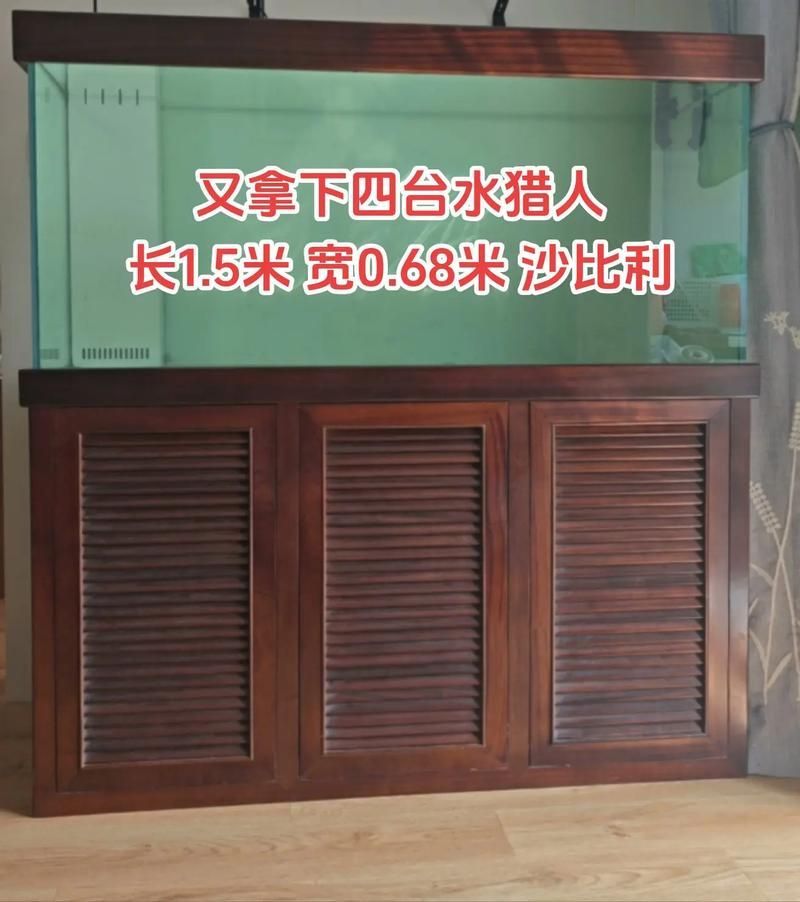 彩鰈和水獵人的價格范圍是多少？，彩鰈（彩虹蝶）與水獵人魚缸價格范圍詳解