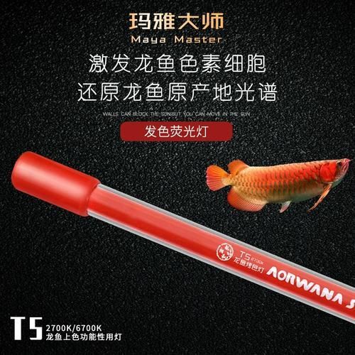 哪種類型的龍魚燈性價比最高？，哪種類型的龍魚燈性價比最高