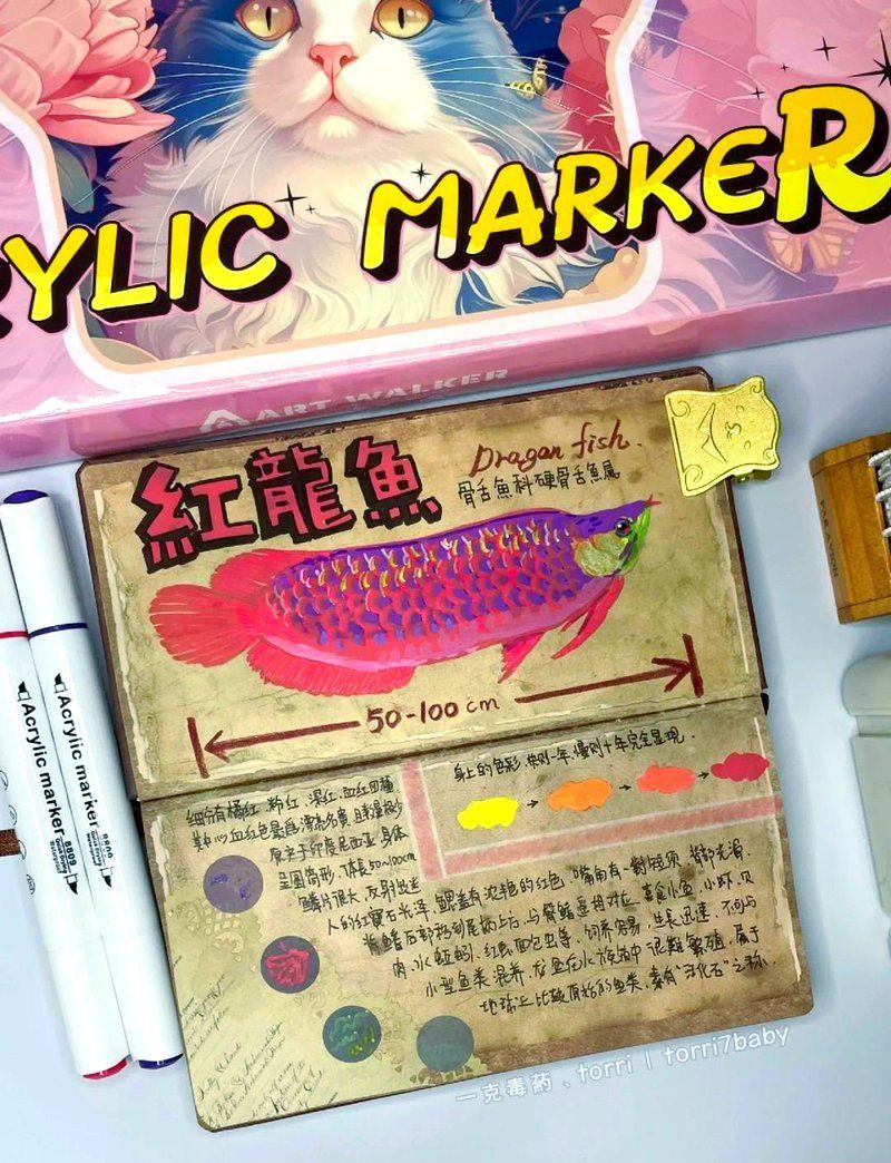 給我推薦一些紅龍魚的品種，紅龍魚怎么養(yǎng)？ 給我推薦一些紅龍魚的品種，紅龍魚怎么養(yǎng)？ 龍魚百科 第20張