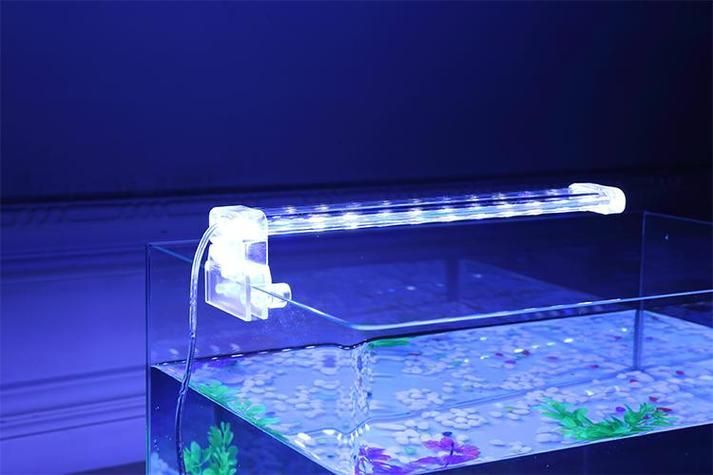 如何聯系祥龍魚場購買水族燈？