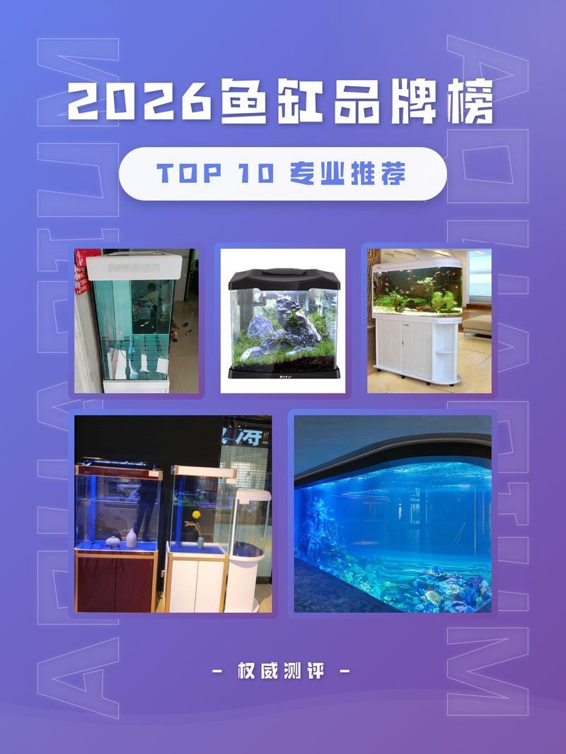 如何判斷龍魚缸的性價比是否高？，如何判斷龍魚缸的性價比