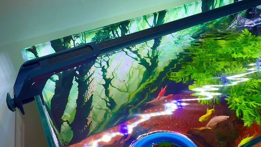 有哪些品牌的水族燈推薦？，有哪些品牌的水族燈值得入手？