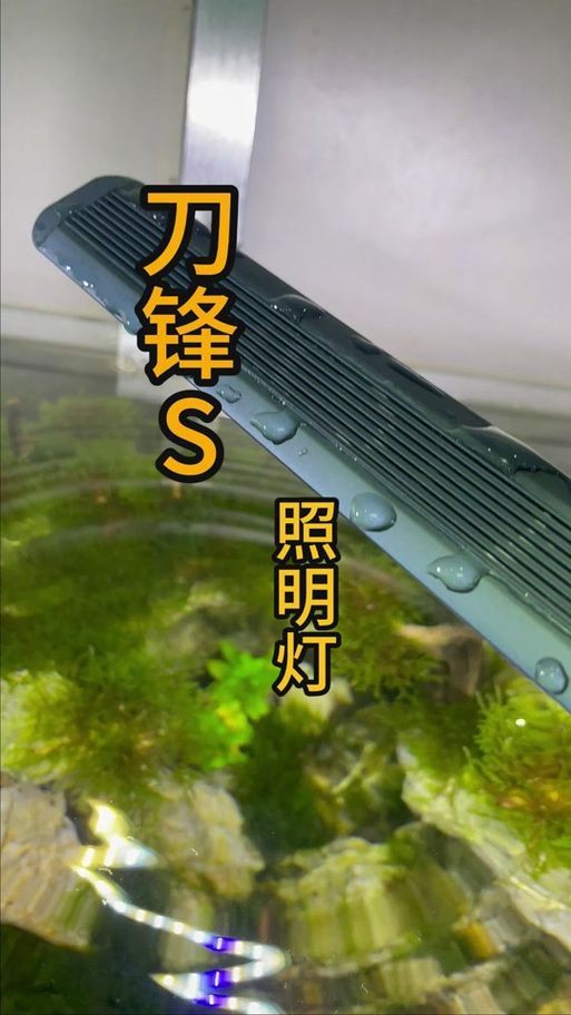 有哪些品牌的水族燈推薦？，有哪些品牌的水族燈值得入手？