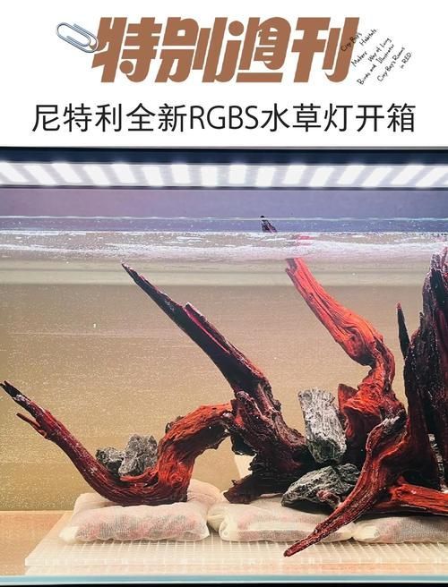有哪些品牌的水族燈推薦？，有哪些品牌的水族燈值得入手？